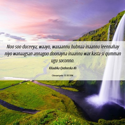 Picture 06 - Cibraaniyada 13:18 SOM - Noo soo duceeya; waayo, waxaannu hubnaa inaannu - Bible Verse Picture