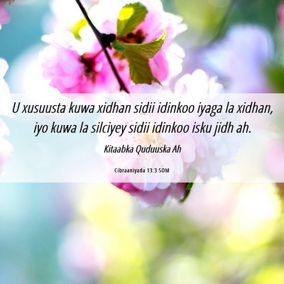 Picture 06 - Cibraaniyada 13:3 SOM - U xusuusta kuwa xidhan sidii idinkoo iyaga la - Bible Verse Picture