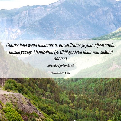 Picture 06 - Cibraaniyada 13:4 SOM - Guurka hala wada maamuuso, oo sariirtuna yeynan - Bible Verse Picture