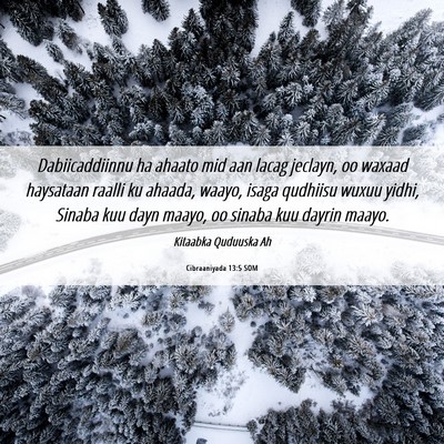 Picture 06 - Cibraaniyada 13:5 SOM - Dabiicaddiinnu ha ahaato mid aan lacag jeclayn, - Bible Verse Picture