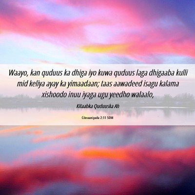 Picture 06 - Cibraaniyada 2:11 SOM - Waayo, kan quduus ka dhiga iyo kuwa quduus laga - Bible Verse Picture