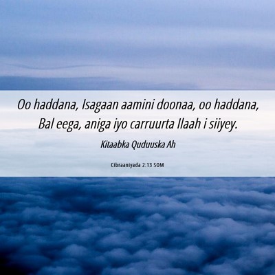 Picture 06 - Cibraaniyada 2:13 SOM - Oo haddana, Isagaan aamini doonaa, oo haddana, - Bible Verse Picture
