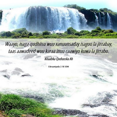 Picture 06 - Cibraaniyada 2:18 SOM - Waayo, isaga qudhiisu wuu xanuunsaday isagoo la - Bible Verse Picture