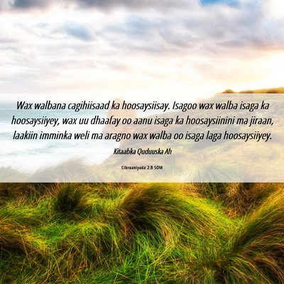 Picture 06 - Cibraaniyada 2:8 SOM - Wax walbana cagihiisaad ka hoosaysiisay. Isagoo - Bible Verse Picture