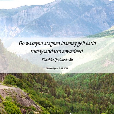 Picture 06 - Cibraaniyada 3:19 SOM - Oo waxaynu aragnaa inaanay geli karin - Bible Verse Picture