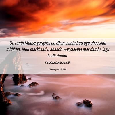 Picture 06 - Cibraaniyada 3:5 SOM - Oo runtii Muuse gurigiisa oo dhan aamin buu ugu - Bible Verse Picture