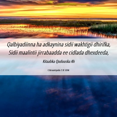 Picture 06 - Cibraaniyada 3:8 SOM - Qalbiyadiinna ha adkaynina sidii wakhtigii - Bible Verse Picture