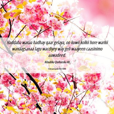 Picture 06 - Cibraaniyada 4:6 SOM - Haddaba waxaa hadhay qaar gelaya, oo kuwii kolkii - Bible Verse Picture
