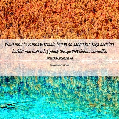 Picture 06 - Cibraaniyada 5:11 SOM - Waxaannu haysanna waxyaalo badan oo aannu kan - Bible Verse Picture
