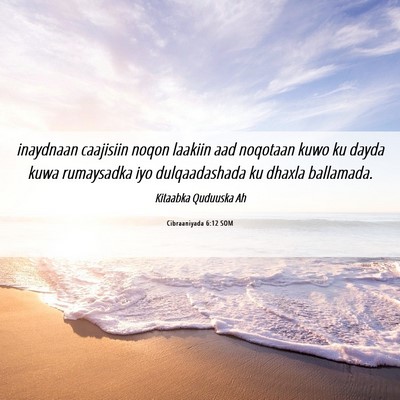 Picture 06 - Cibraaniyada 6:12 SOM - inaydnaan caajisiin noqon laakiin aad noqotaan - Bible Verse Picture
