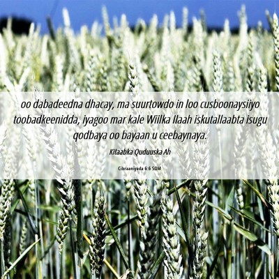 Picture 06 - Cibraaniyada 6:6 SOM - oo dabadeedna dhacay, ma suurtowdo in loo - Bible Verse Picture