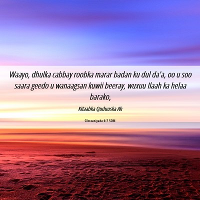 Picture 06 - Cibraaniyada 6:7 SOM - Waayo, dhulka cabbay roobka marar badan ku dul - Bible Verse Picture