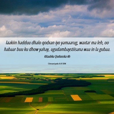 Picture 06 - Cibraaniyada 6:8 SOM - laakiin hadduu dhalo qodxan iyo yamaarug, waxtar - Bible Verse Picture