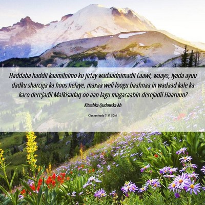 Picture 06 - Cibraaniyada 7:11 SOM - Haddaba haddii kaamilnimo ku jirtay wadaadnimadii - Bible Verse Picture