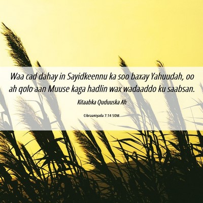 Picture 06 - Cibraaniyada 7:14 SOM - Waa cad dahay in Sayidkeennu ka soo baxay - Bible Verse Picture