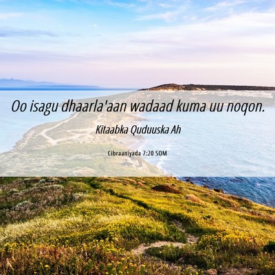 Picture 06 - Cibraaniyada 7:20 SOM - Oo isagu dhaarla'aan wadaad kuma uu - Bible Verse Picture