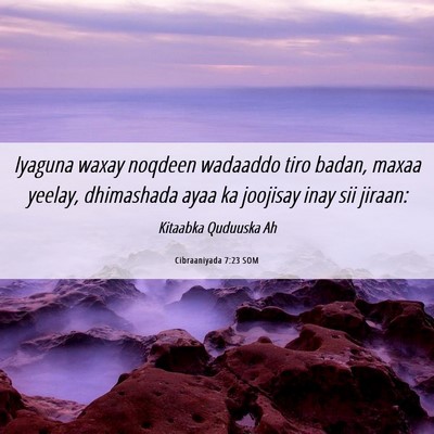 Picture 06 - Cibraaniyada 7:23 SOM - Iyaguna waxay noqdeen wadaaddo tiro badan, maxaa - Bible Verse Picture