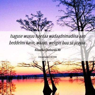 Picture 06 - Cibraaniyada 7:24 SOM - Isaguse wuxuu haystaa wadaadnimadiisa aan - Bible Verse Picture