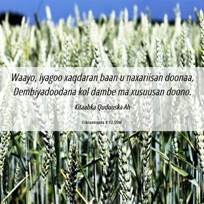 Picture 06 - Cibraaniyada 8:12 SOM - Waayo, iyagoo xaqdaran baan u naxariisan doonaa, - Bible Verse Picture
