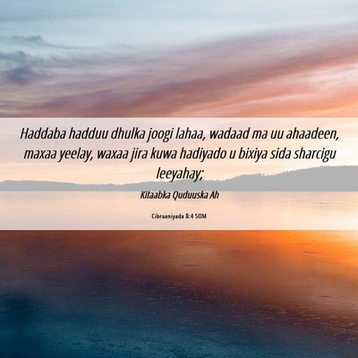 Picture 06 - Cibraaniyada 8:4 SOM - Haddaba hadduu dhulka joogi lahaa, wadaad ma uu - Bible Verse Picture