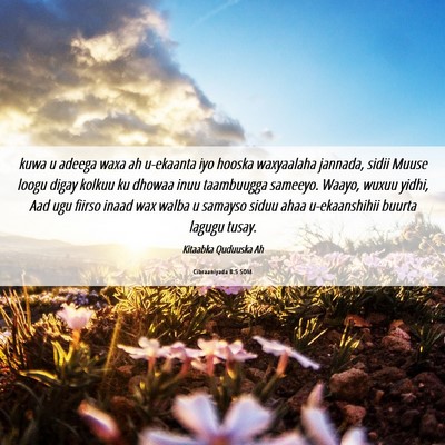 Picture 06 - Cibraaniyada 8:5 SOM - kuwa u adeega waxa ah u-ekaanta iyo hooska - Bible Verse Picture