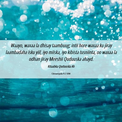 Picture 06 - Cibraaniyada 9:2 SOM - Waayo, waxaa la dhisay taambuug; intii hore waxaa - Bible Verse Picture