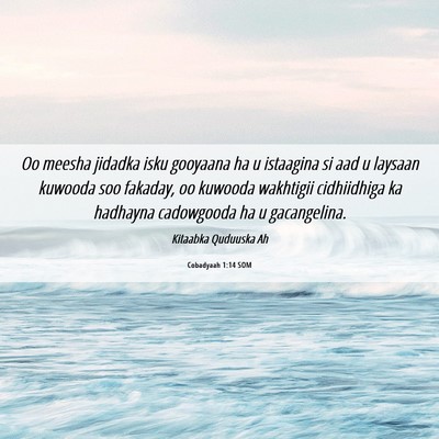 Picture 06 - Cobadyaah 1:14 SOM - Oo meesha jidadka isku gooyaana ha u istaagina si - Bible Verse Picture