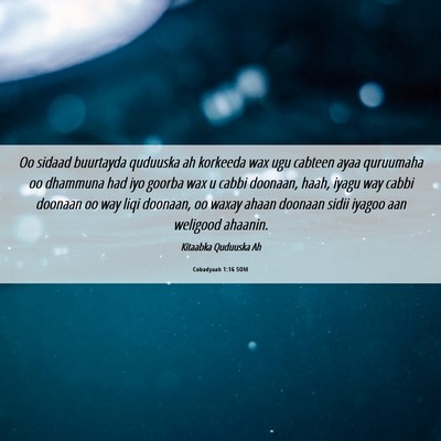 Picture 06 - Cobadyaah 1:16 SOM - Oo sidaad buurtayda quduuska ah korkeeda wax ugu - Bible Verse Picture