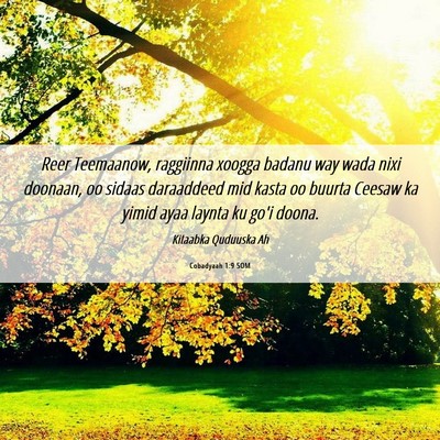 Picture 06 - Cobadyaah 1:9 SOM - Reer Teemaanow, raggiinna xoogga badanu way wada - Bible Verse Picture