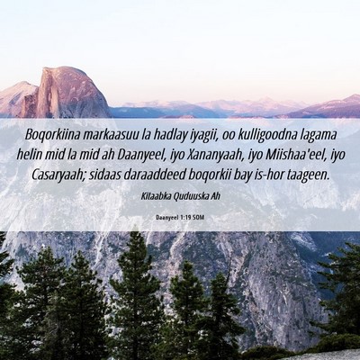 Picture 06 - Daanyeel 1:19 SOM - Boqorkiina markaasuu la hadlay iyagii, oo - Bible Verse Picture