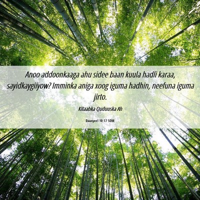Picture 06 - Daanyeel 10:17 SOM - Anoo addoonkaaga ahu sidee baan kuula hadli - Bible Verse Picture