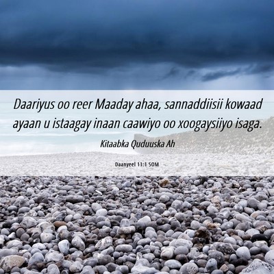 Picture 06 - Daanyeel 11:1 SOM - Daariyus oo reer Maaday ahaa, sannaddiisii kowaad - Bible Verse Picture