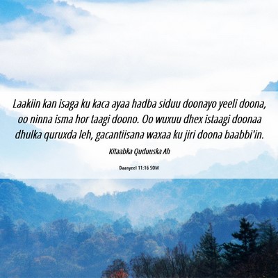 Picture 06 - Daanyeel 11:16 SOM - Laakiin kan isaga ku kaca ayaa hadba siduu - Bible Verse Picture