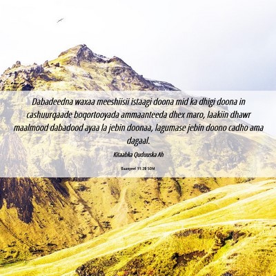 Picture 06 - Daanyeel 11:20 SOM - Dabadeedna waxaa meeshiisii istaagi doona mid ka - Bible Verse Picture