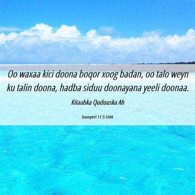 Picture 06 - Daanyeel 11:3 SOM - Oo waxaa kici doona boqor xoog badan, oo talo - Bible Verse Picture