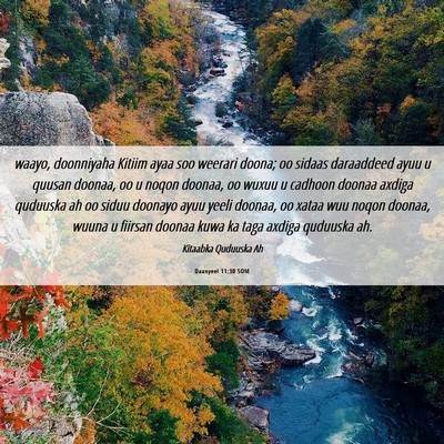 Picture 06 - Daanyeel 11:30 SOM - waayo, doonniyaha Kitiim ayaa soo weerari doona; - Bible Verse Picture