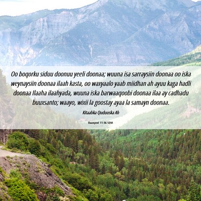 Picture 06 - Daanyeel 11:36 SOM - Oo boqorku siduu doonuu yeeli doonaa; wuuna isa - Bible Verse Picture