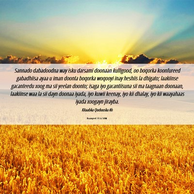 Picture 06 - Daanyeel 11:6 SOM - Sannado dabadoodna way isku darsami doonaan - Bible Verse Picture