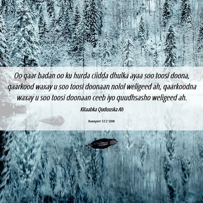 Picture 06 - Daanyeel 12:2 SOM - Oo qaar badan oo ku hurda ciidda dhulka ayaa soo - Bible Verse Picture