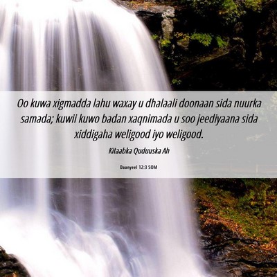 Picture 06 - Daanyeel 12:3 SOM - Oo kuwa xigmadda lahu waxay u dhalaali doonaan - Bible Verse Picture