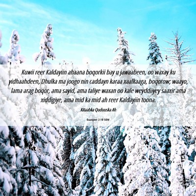 Picture 06 - Daanyeel 2:10 SOM - Kuwii reer Kaldayiin ahaana boqorkii bay u - Bible Verse Picture