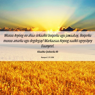 Picture 06 - Daanyeel 2:15 SOM - Wuxuu Aryoog oo ahaa sirkaalkii boqorka ugu - Bible Verse Picture