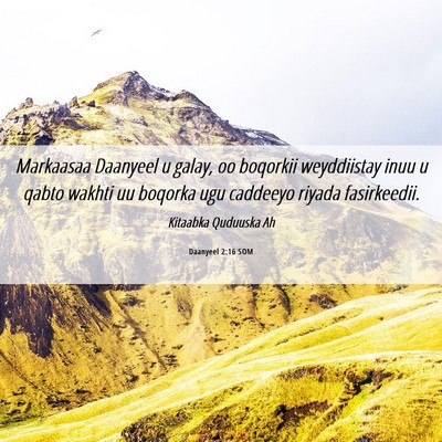 Picture 06 - Daanyeel 2:16 SOM - Markaasaa Daanyeel u galay, oo boqorkii - Bible Verse Picture