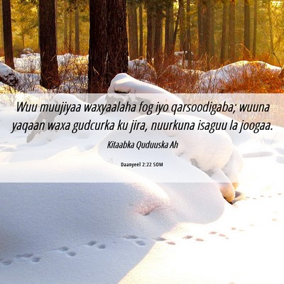 Picture 06 - Daanyeel 2:22 SOM - Wuu muujiyaa waxyaalaha fog iyo qarsoodigaba; - Bible Verse Picture