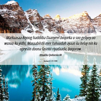Picture 06 - Daanyeel 2:25 SOM - Markaasaa Aryoog haddiiba Daanyeel boqorka u soo - Bible Verse Picture