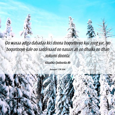 Picture 06 - Daanyeel 2:39 SOM - Oo waxaa adiga dabadaa kici doona boqortooyo kaa - Bible Verse Picture