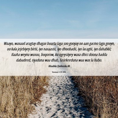Picture 06 - Daanyeel 2:45 SOM - Waayo, waxaad aragtay dhagax buurta laga soo - Bible Verse Picture