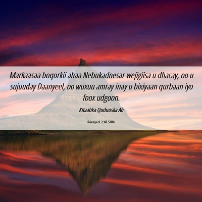 Picture 06 - Daanyeel 2:46 SOM - Markaasaa boqorkii ahaa Nebukadnesar wejigiisa u - Bible Verse Picture