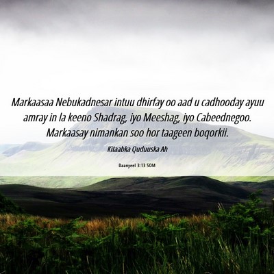 Picture 06 - Daanyeel 3:13 SOM - Markaasaa Nebukadnesar intuu dhirfay oo aad u - Bible Verse Picture