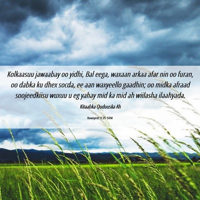 Picture 06 - Daanyeel 3:25 SOM - Kolkaasuu jawaabay oo yidhi, Bal eega, waxaan - Bible Verse Picture